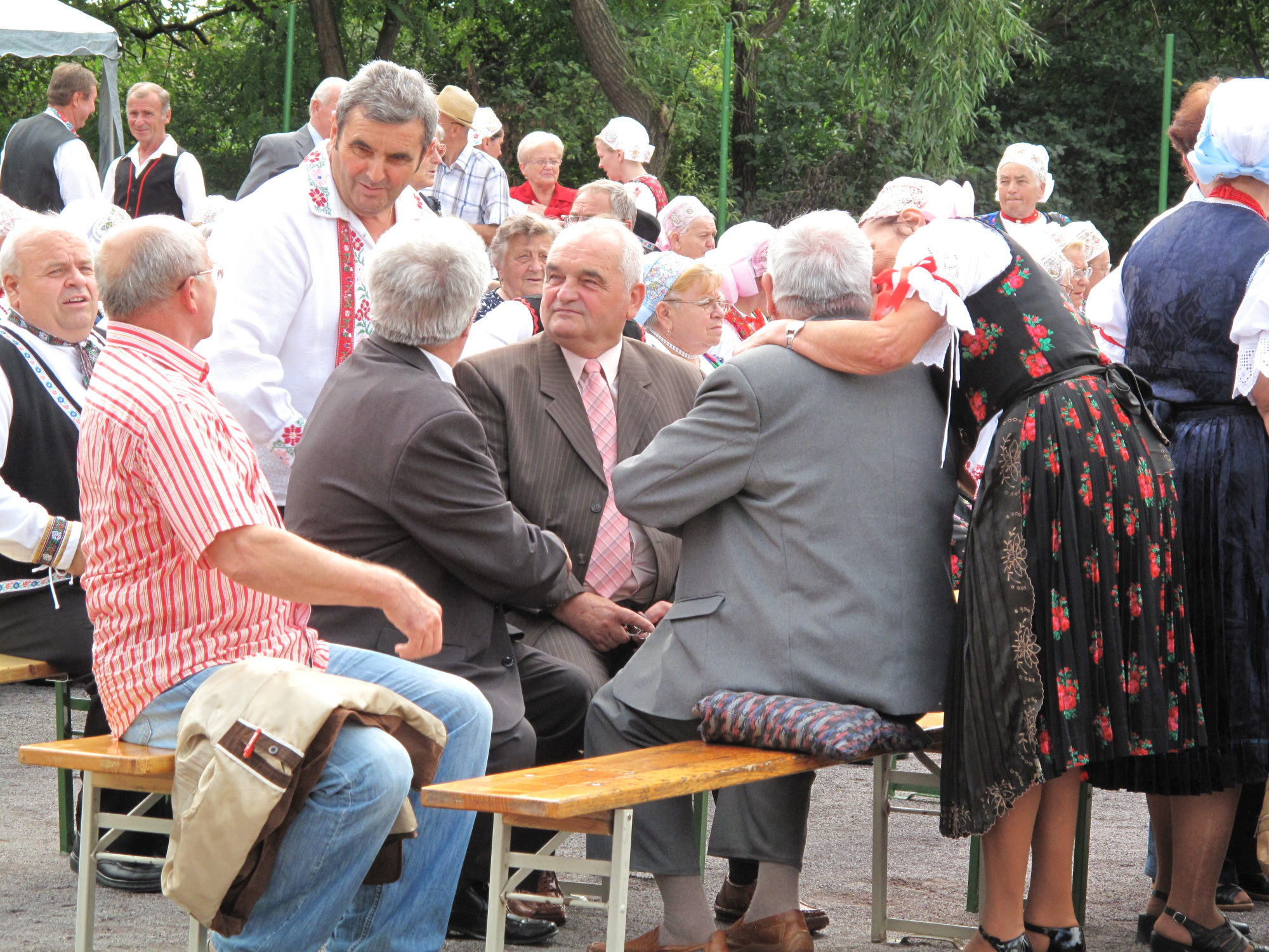 Dipl. Ing. Peter Lednár, CSc1